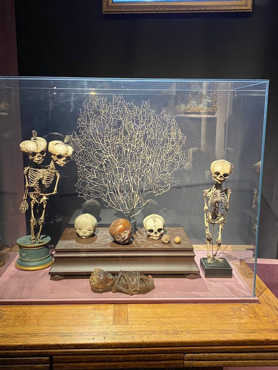 Кунсткамера. Санкт-Петербург. Фото из личного архива 