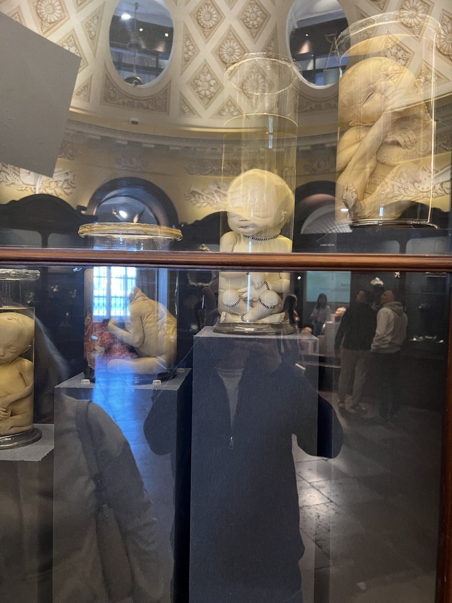 В Кунсткамере. Санкт-Петербург. Фото из личного архива 