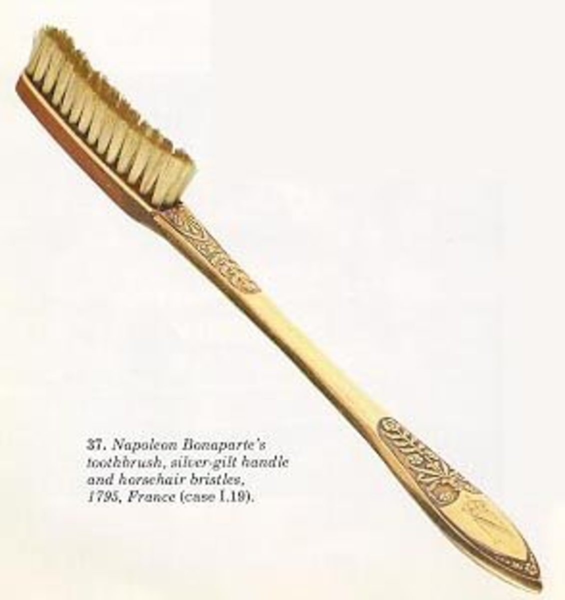 Зубная щетка Наполеона, 1795 год