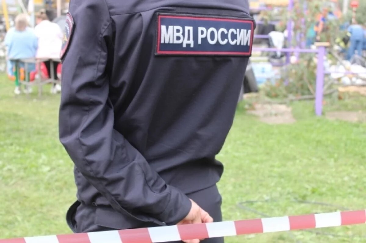    Три молодых жителя Перми сожгли авто за 3,3 млн рублей из-за рабочей ссоры