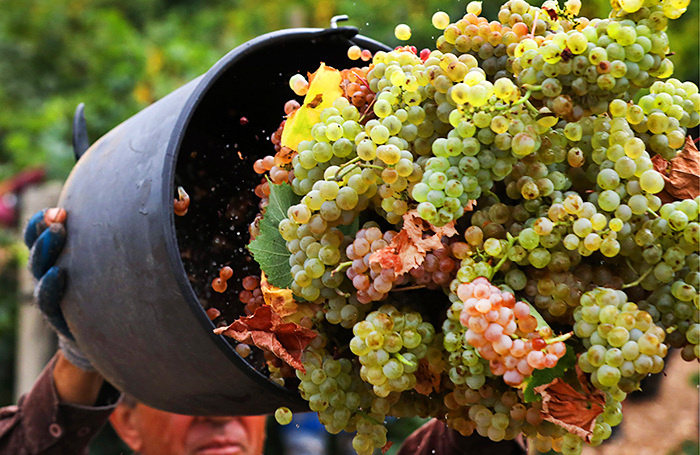    Сергей Мальгавко/ТАСС