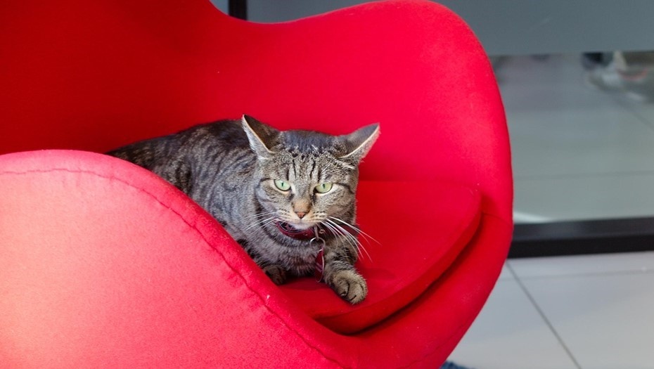    Автор фото: Беликов Валентин