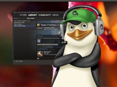    Названы самые популярные Linux-дистрибутивы для запуска игр в Steam
