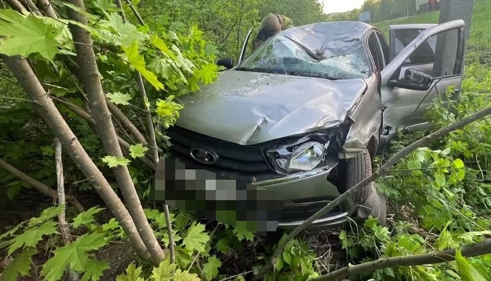    Фото: Госавтоинспекция Прикамья/ТГ Ульяна Бажанова