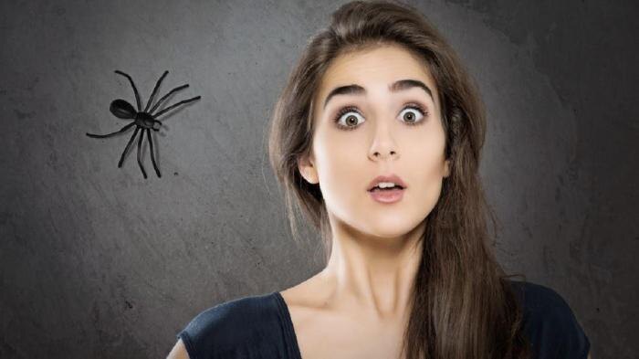 Арахнофобия. Фото с сайта https://autogear.ru/