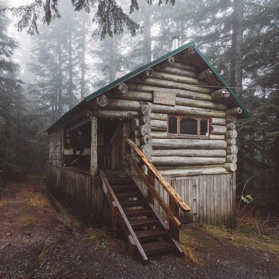 Фото из Яндекса