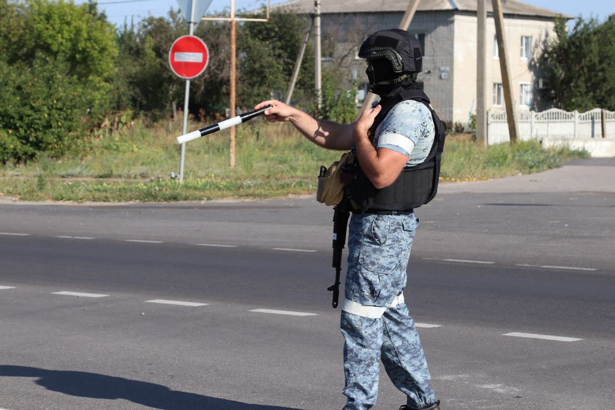 Фото: УМВД России по Курской области