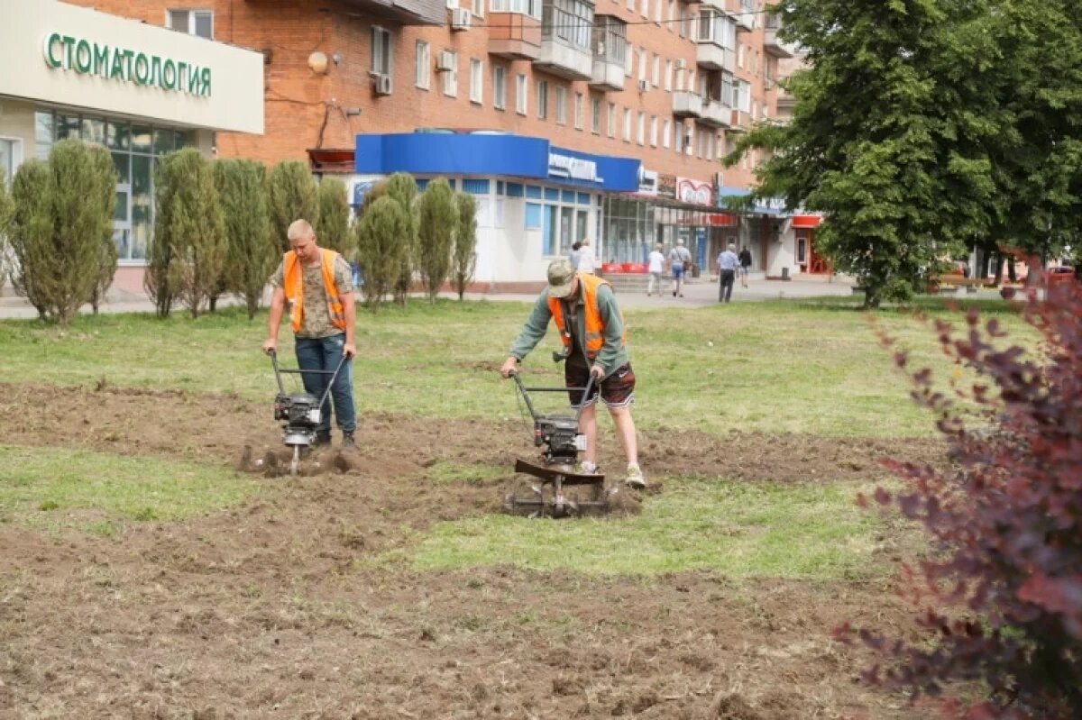    Зелёную зону обновляют в Туле у ул. Советской и Красноармейского проспекта