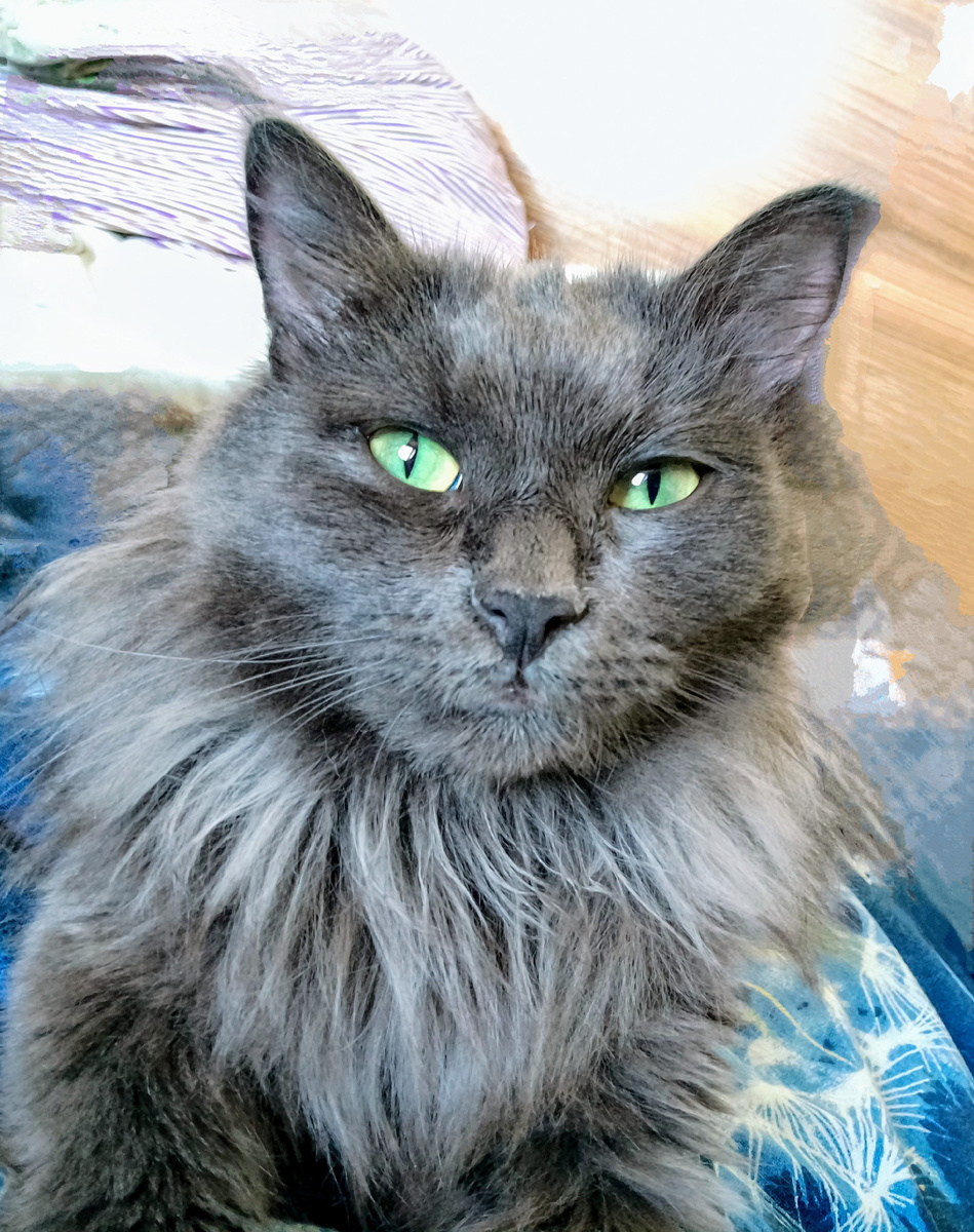 Варя. Разве можно её стричь? 