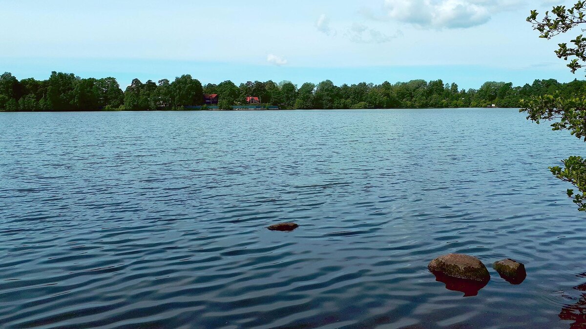    Фото: wikimedia.org/GAlexandrova; CC BY-SA 4.0