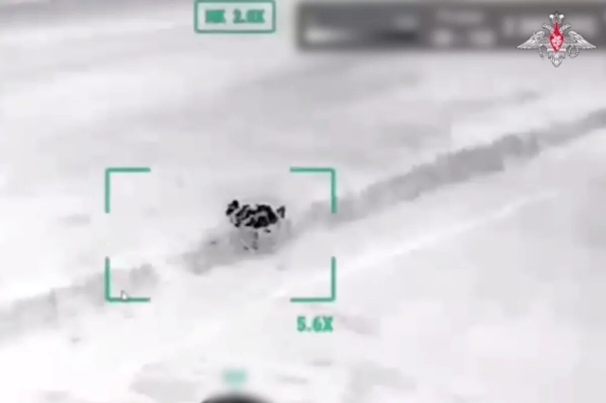    ВС РФ успешно атаковали объекты ВСУ в Сумской области.