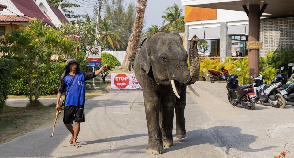    Aleksey Smyshlyaev / www.globallookpress.com
