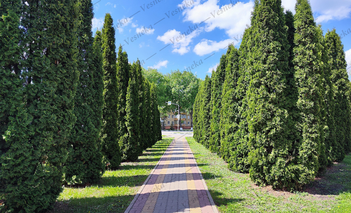 Фото автора