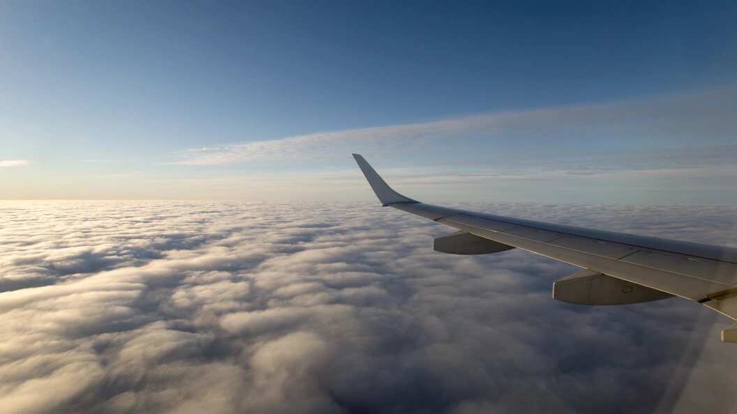    Фото: Nikolay Gyngazov/Globallookpress