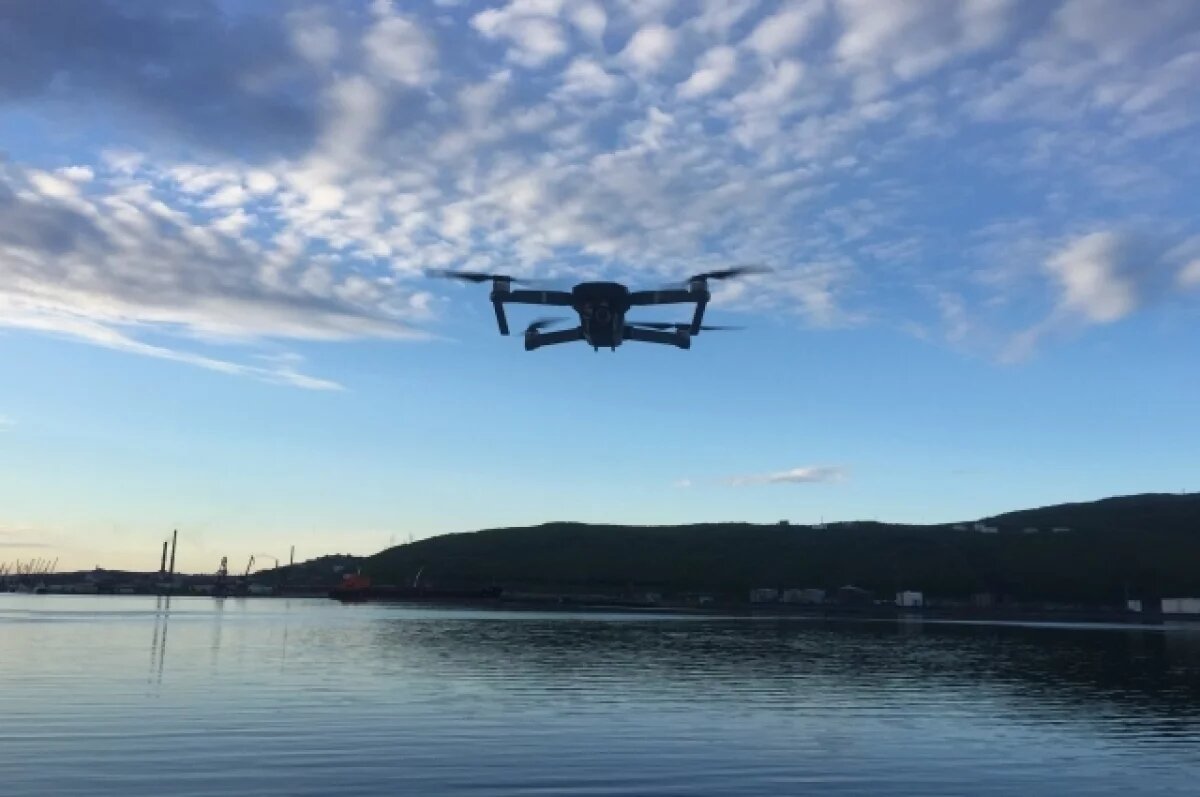    Жителя Смоленска лишили свободы за оправдание атак БПЛА на Россию