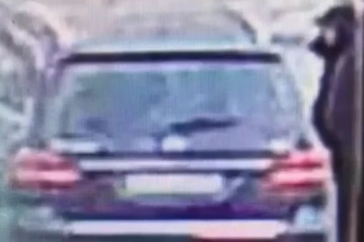    Подозреваемого в серии краж мужчину задержали в Новосибирской области