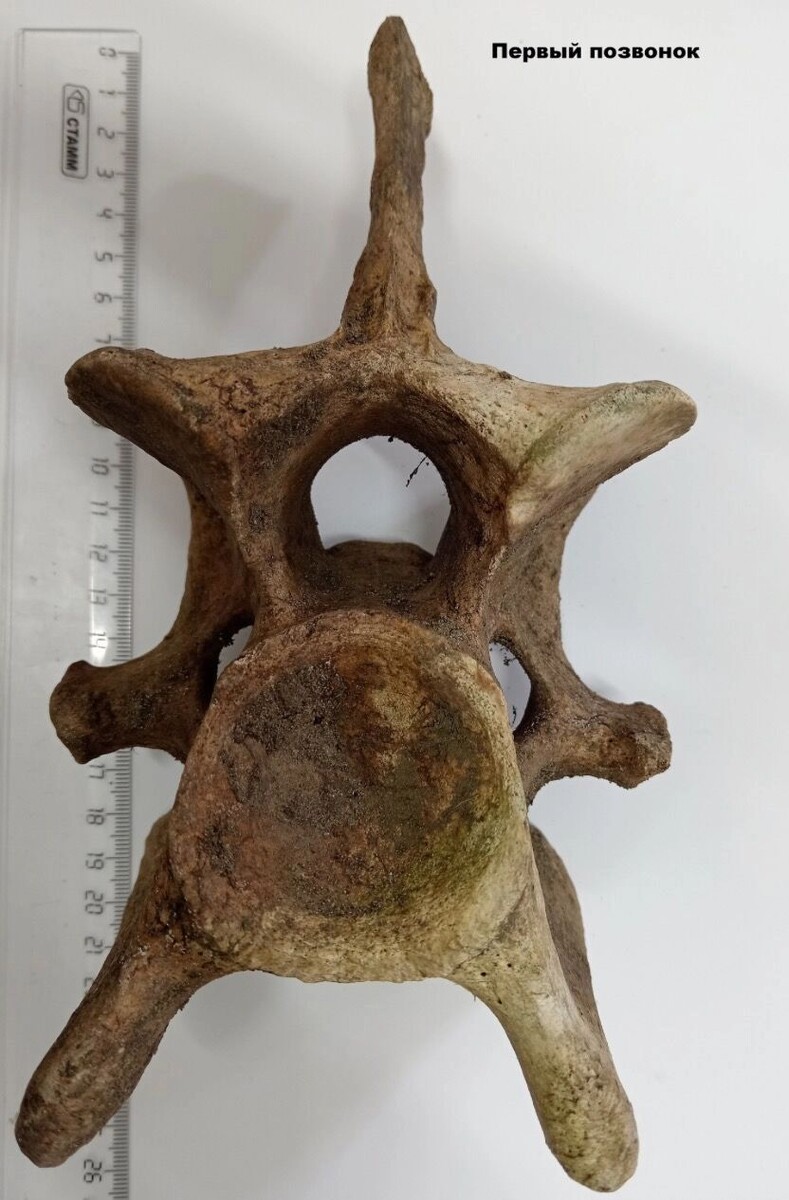     Источник: vk.com/tunguskiy