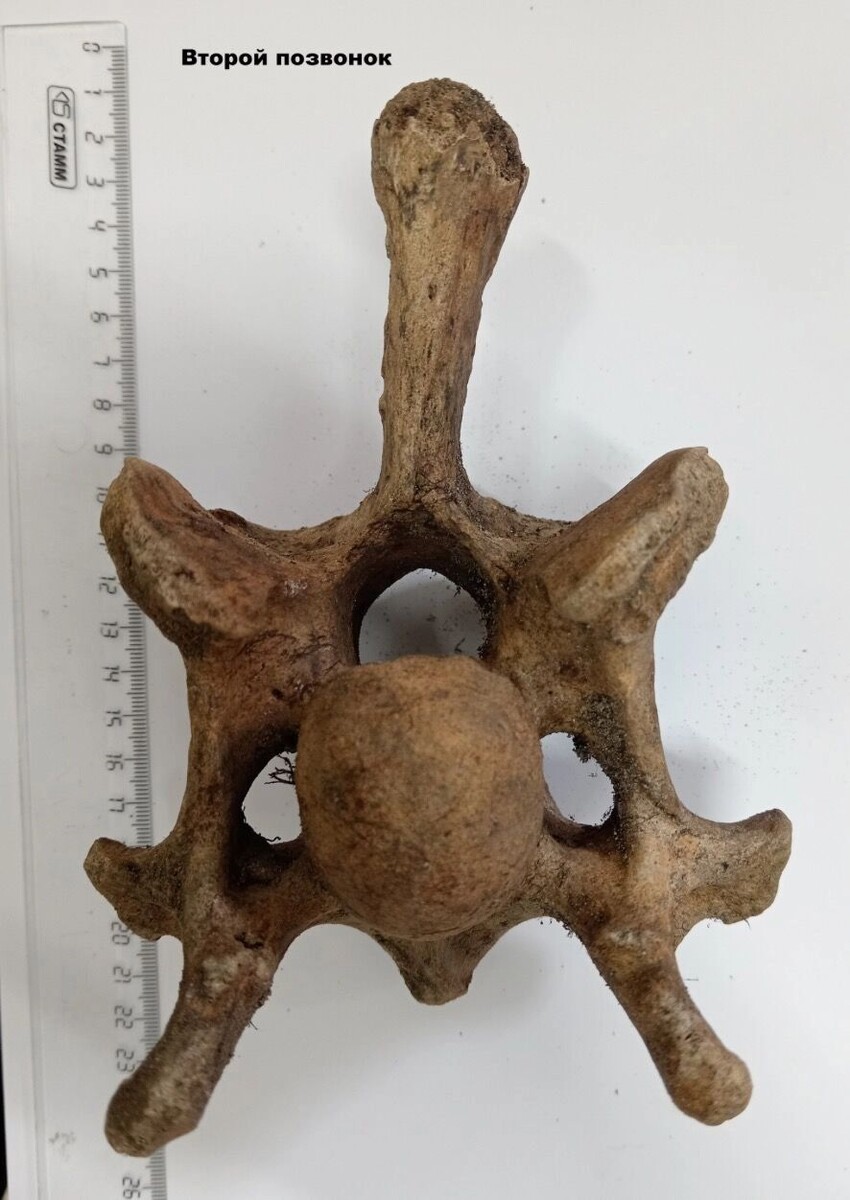     Источник: vk.com/tunguskiy