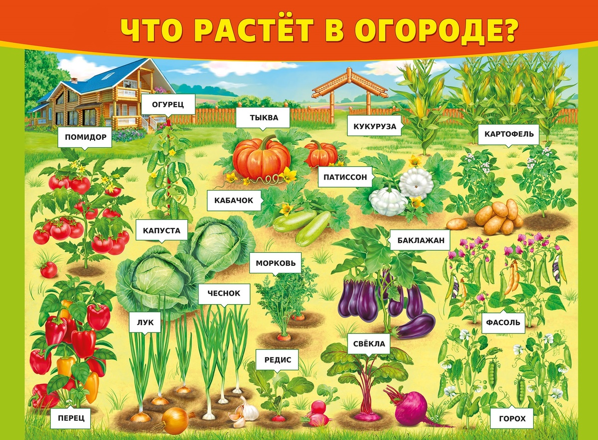 Что Делать, Если Ничего Не Растет?