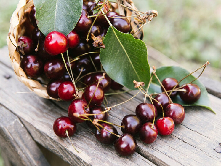 Фото: freepik.com