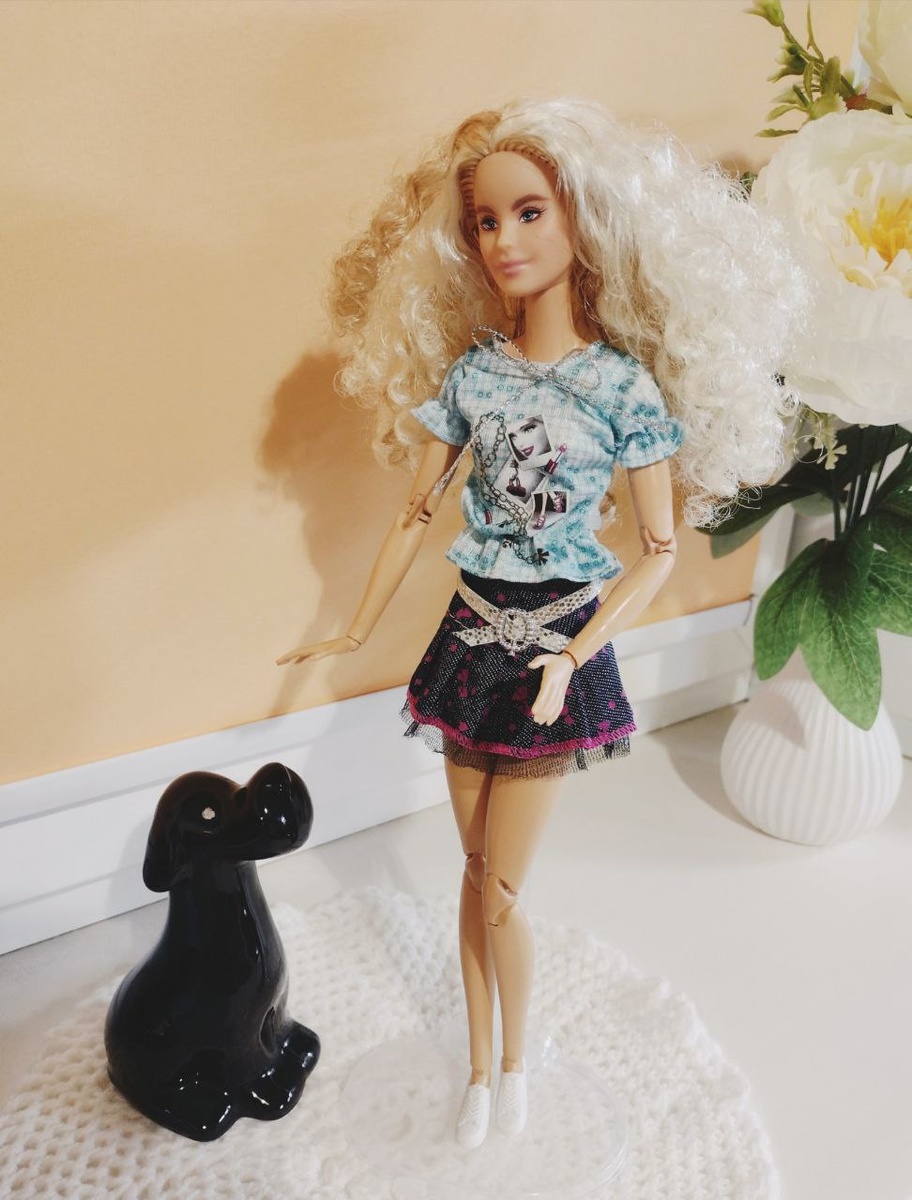 С питомцем.