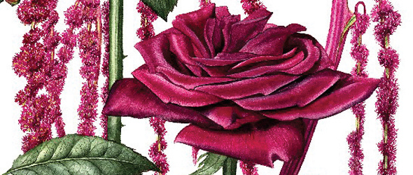 Изображение с сайта https://www.artistsandillustrators.co.uk