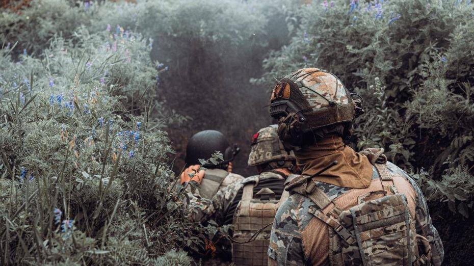    Социальные сети