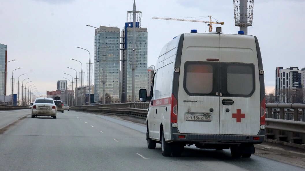    Фото: Elena Mayorova/Globallookpress