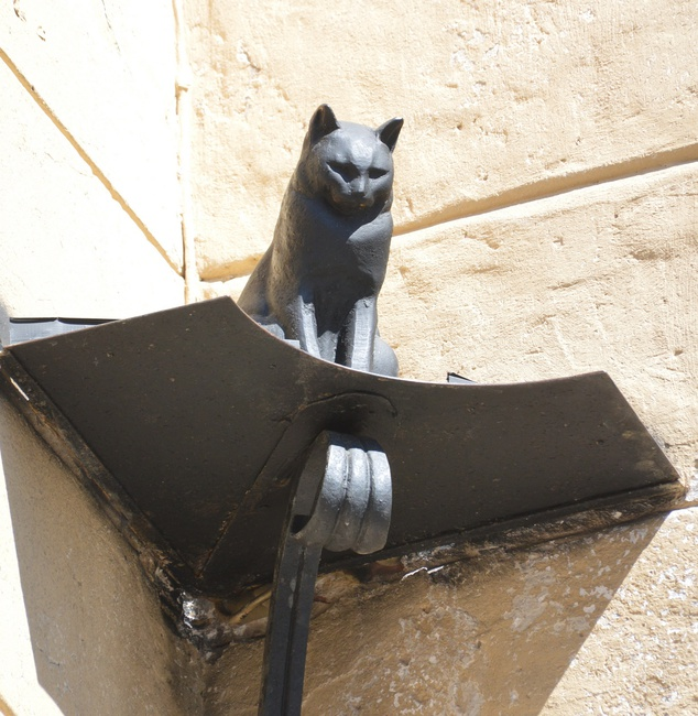 Кот Елисей. Все фотографии в статье мои
