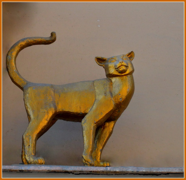 Кошка Василиса