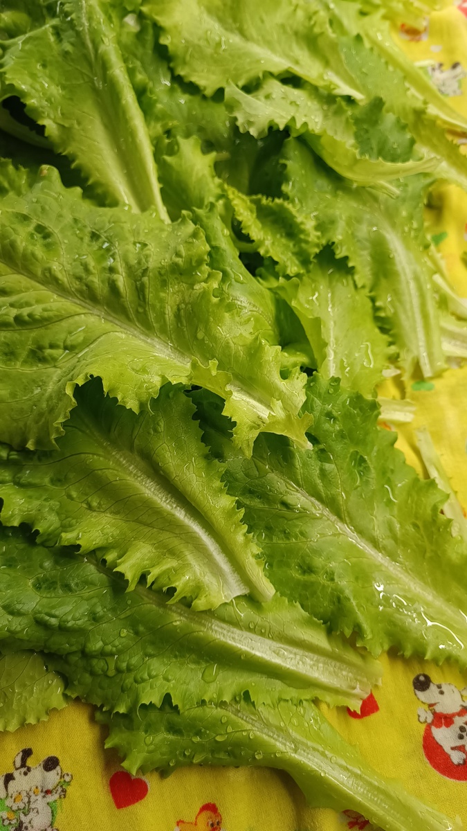 Красивая зеленушечка! И полезная. 