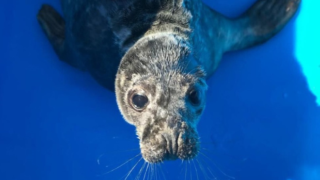 Фото: Ленинградская АЭС