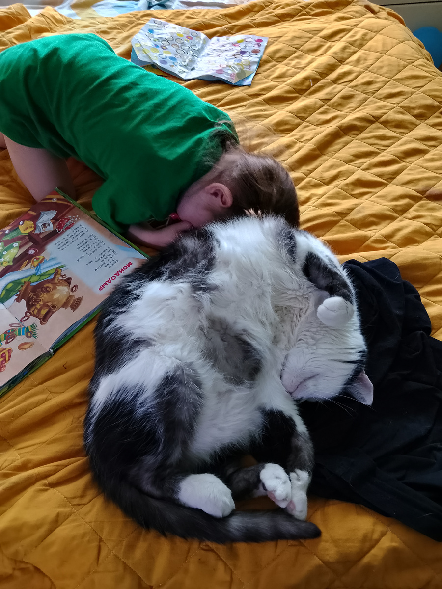 Вот этот котяра. Толще ребёнка. Да и по длине немногим уступает. И по весу почти такой же. Красавчик! 