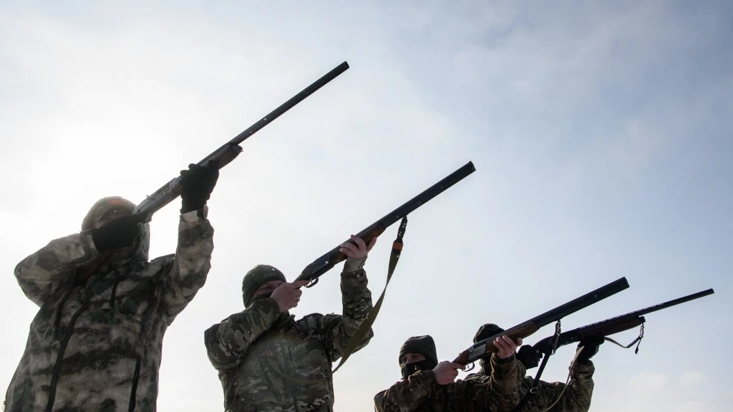    Фото: Ilya Moskovets/URA.RU/Globallookpress