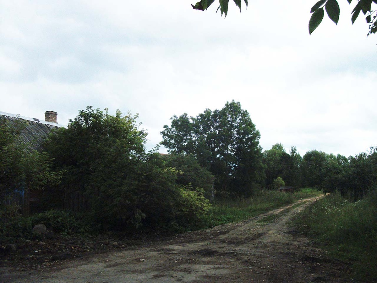 Дорога к нашим будущим владениям