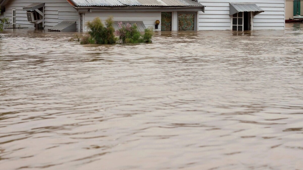    Фото: Brisbane/Shutterstock/Fotodom