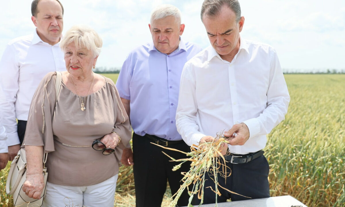    Фото пресс-службы администрации Краснодарского края