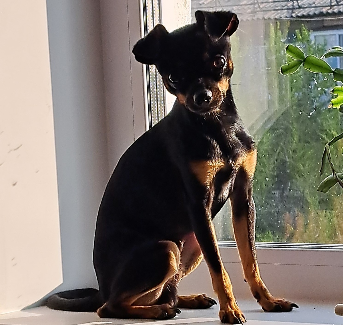 фото из личного архива