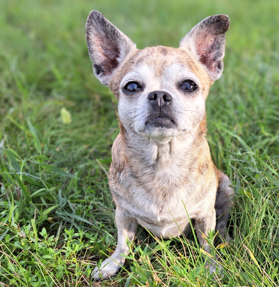 фото из личного архива