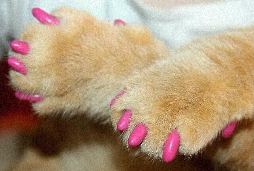 Вот такая красота получилась 👍