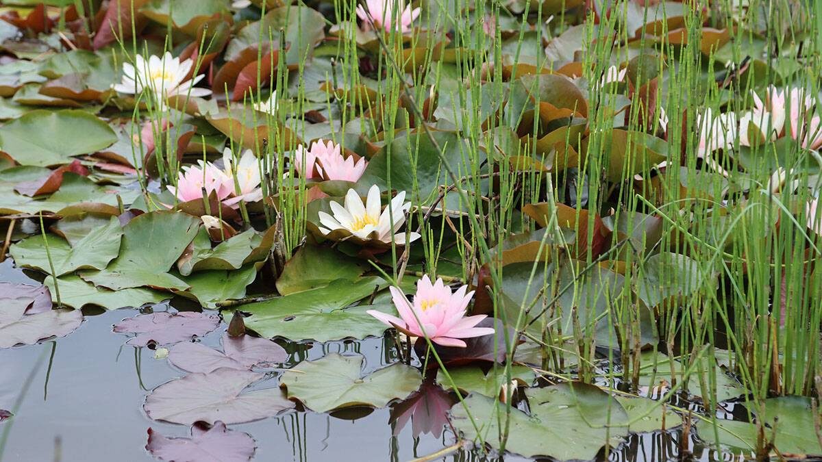    Фото: Мобильный репортер / АГН Москва