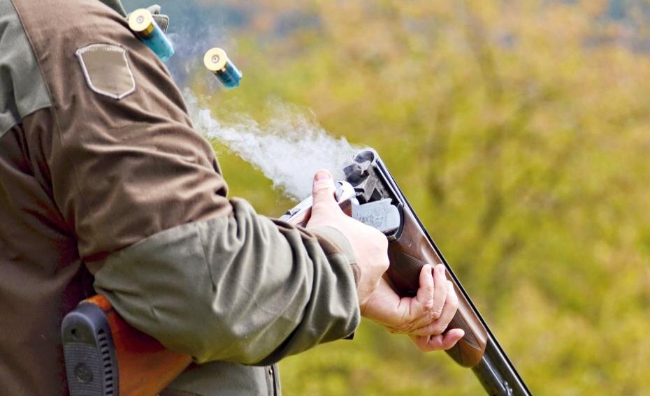    Shutterstock/FOTODOM