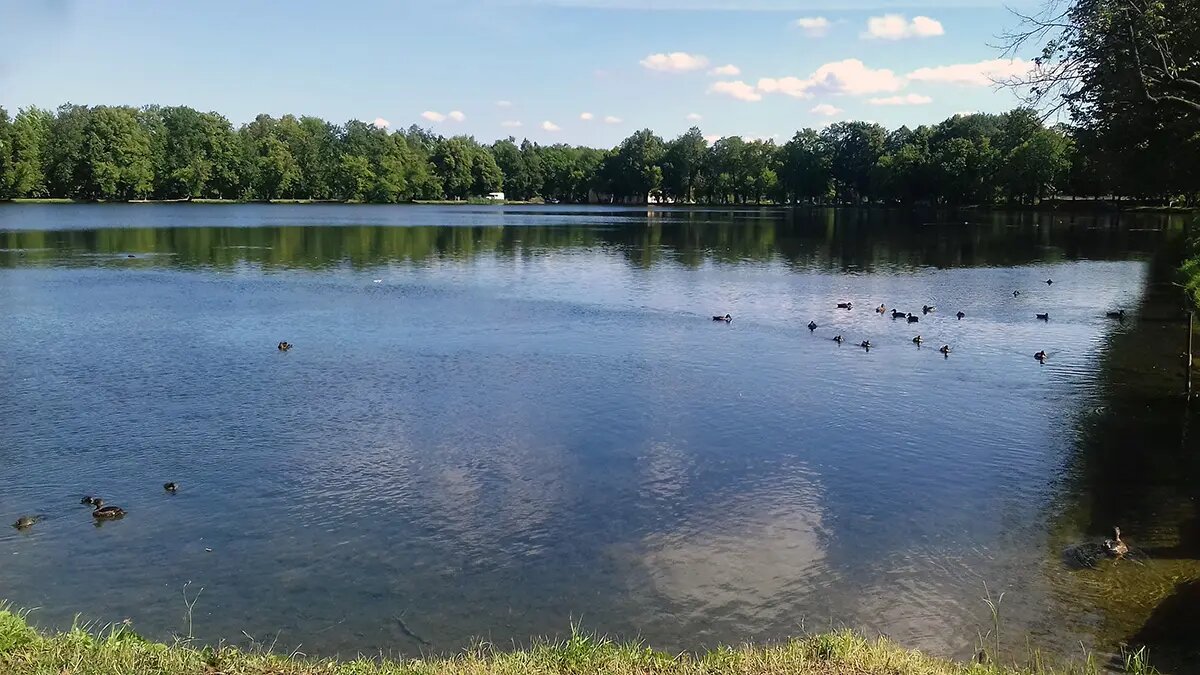 Красный пруд. Петергоф