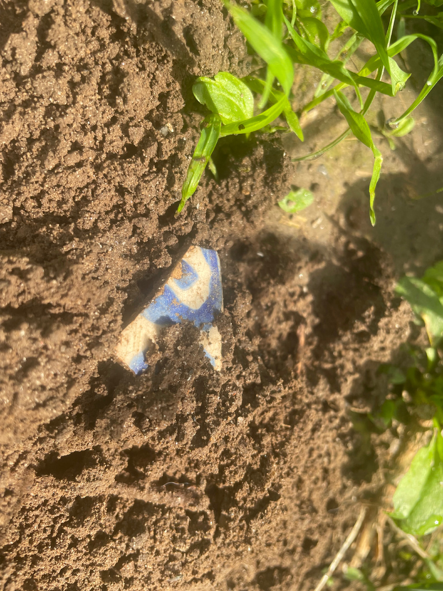 Осколок из кротовьей насыпи