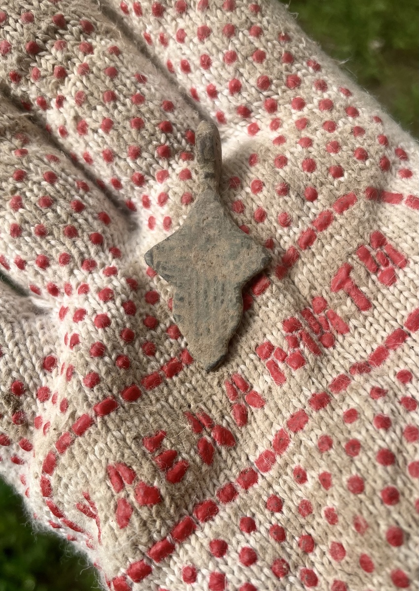 Весьма обнадеживающая находка 