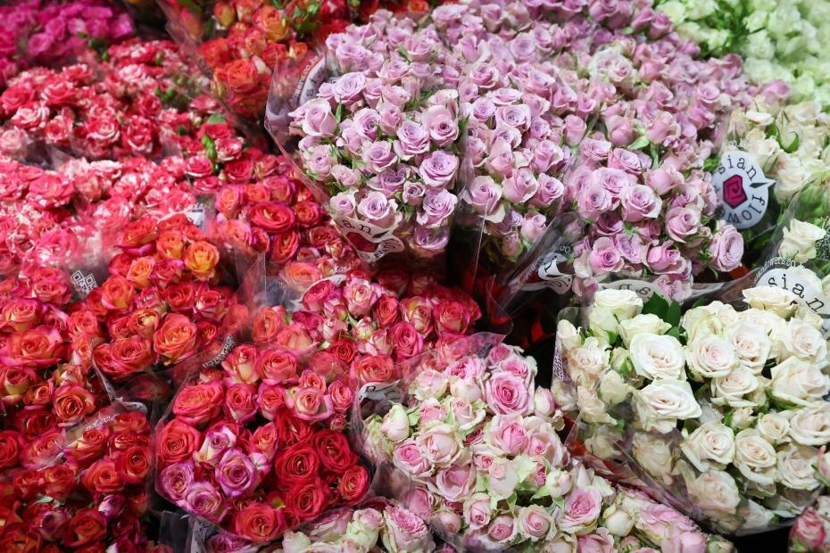    Алексей Белкин/NEWS.ru