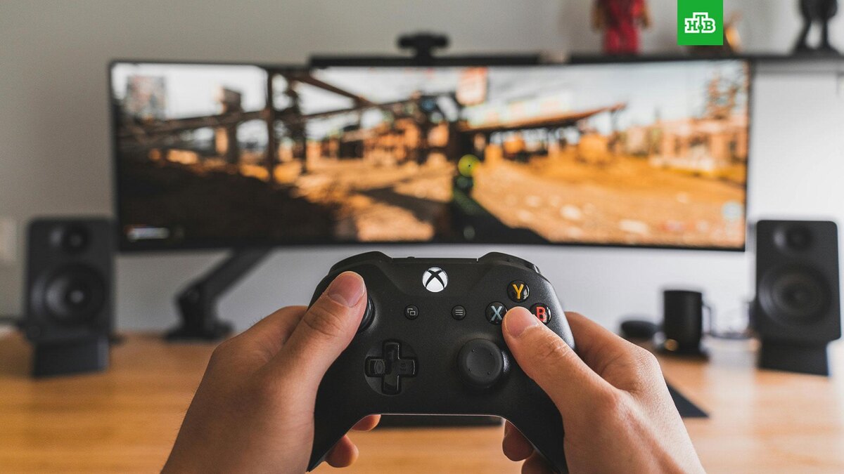    Фото: Sam Pak / unsplash.com