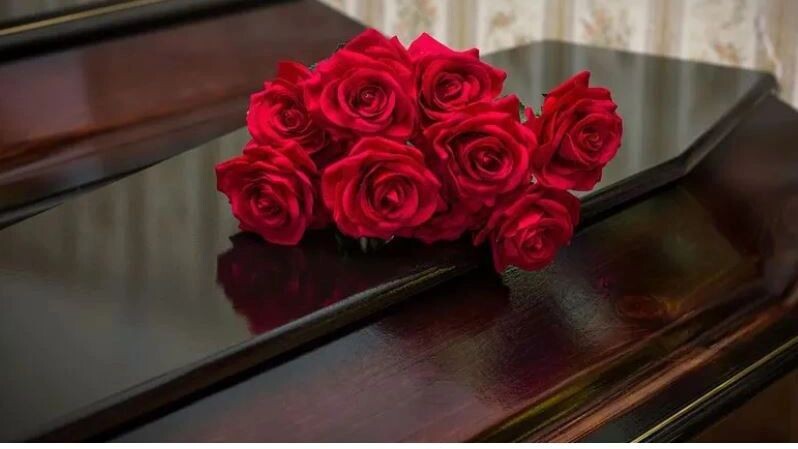    Фото: Perova Evgeniya/Shutterstock/Fotodom