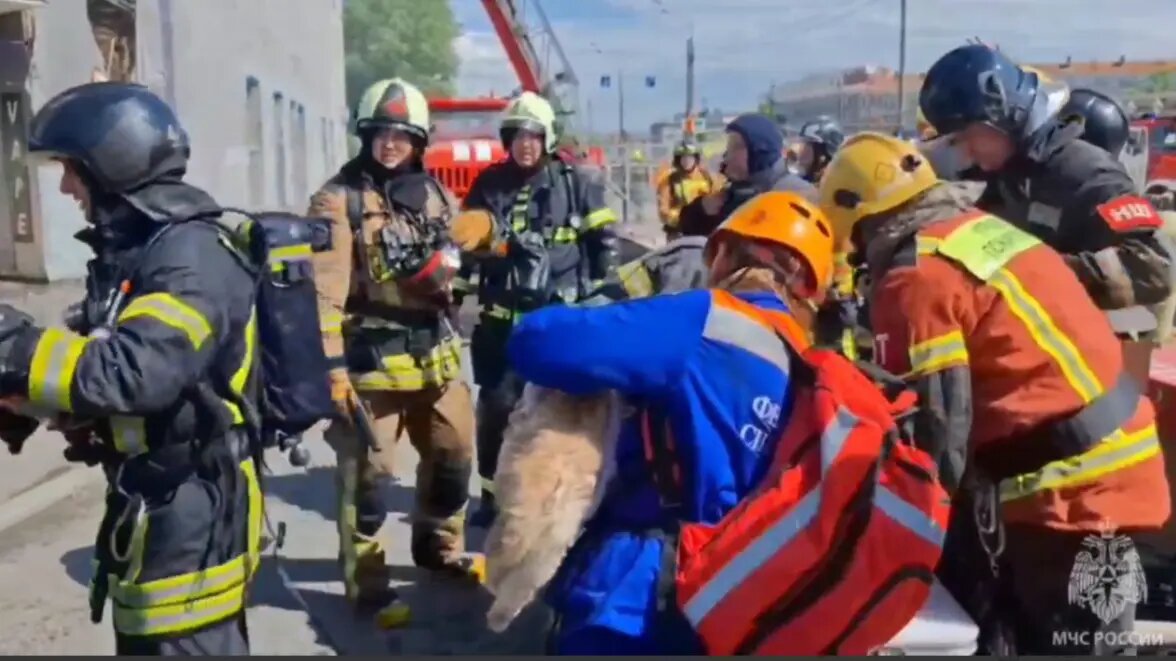    Фото: скриншот видео пресс-службы ГУ МВД России по Петербургу