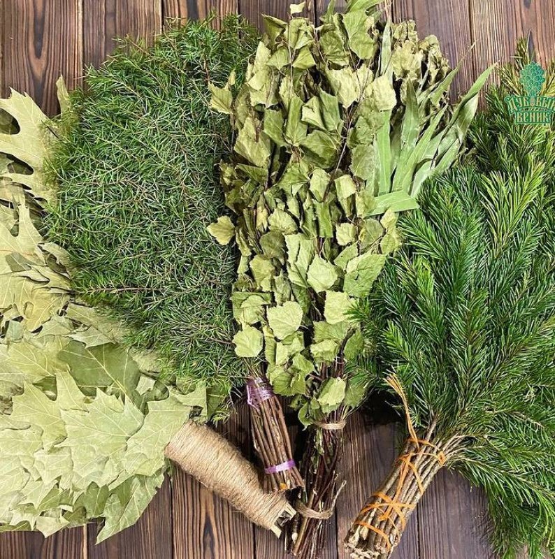 Слева направо: веник из канадского дуба (с закрытой ручкой),  можжевеловый веник, березовый веник, пихтовый веник.